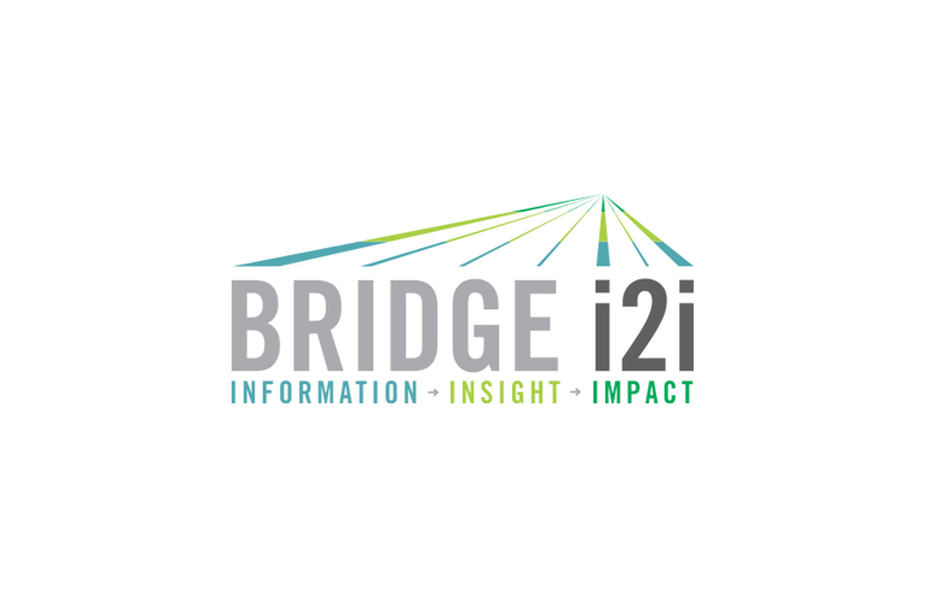 Bridgei2i